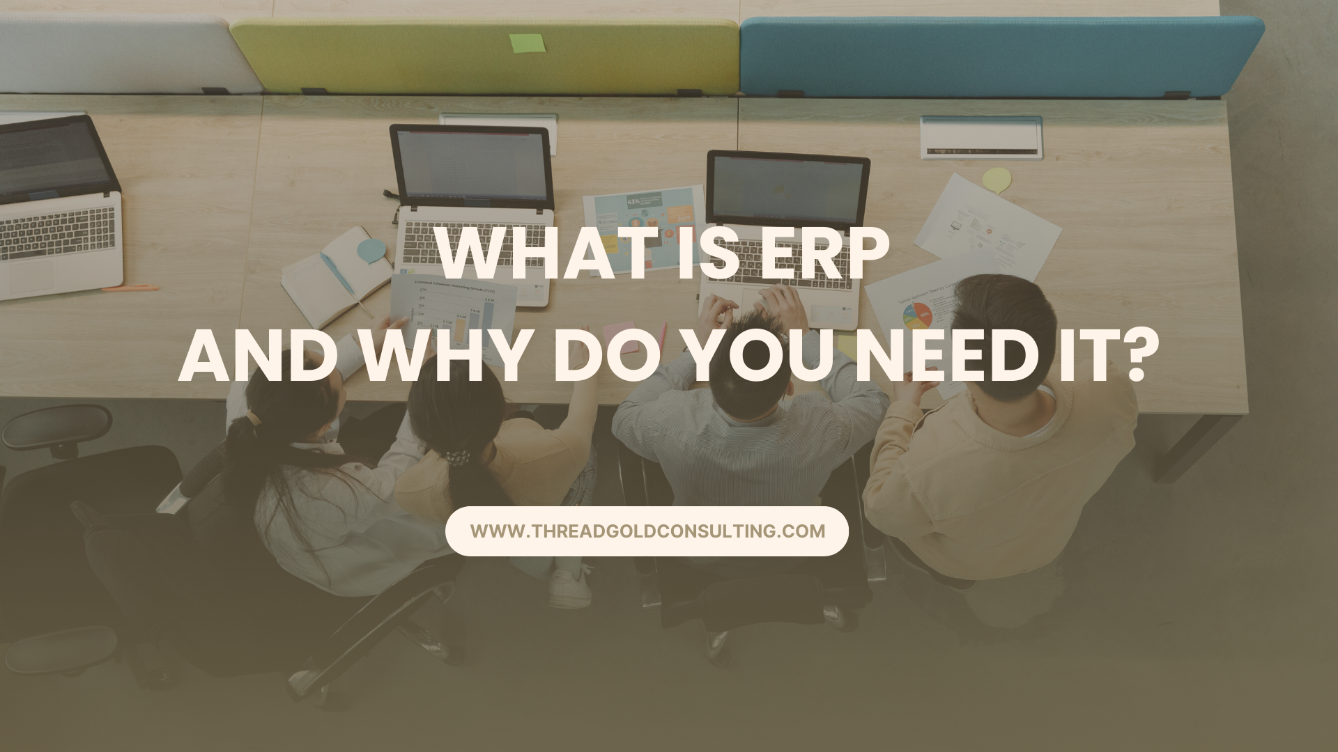 What is ERP and Why Do You Need it?