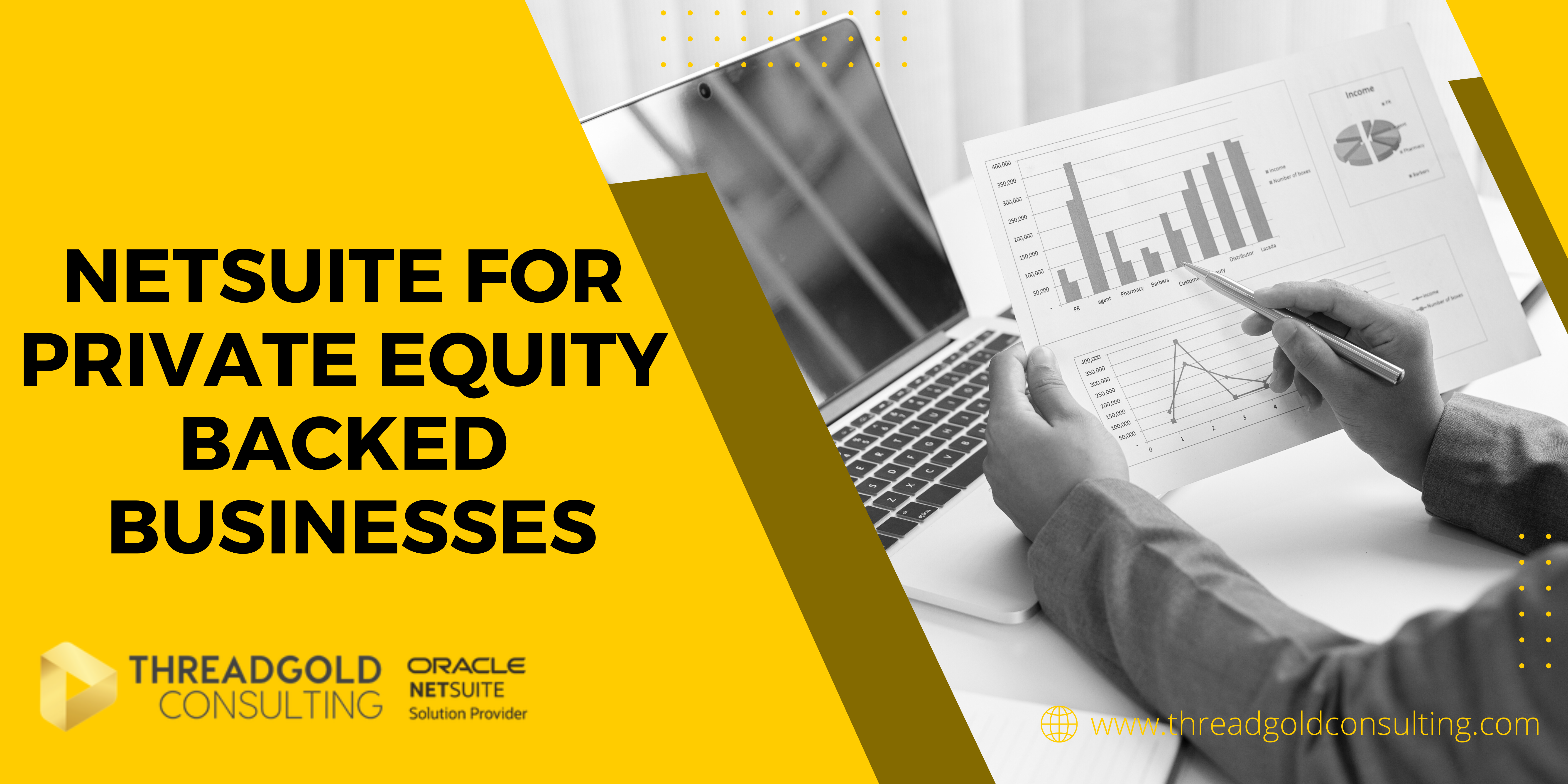 NetSuite For Private Equity Backed Businesses: Features & Benefits